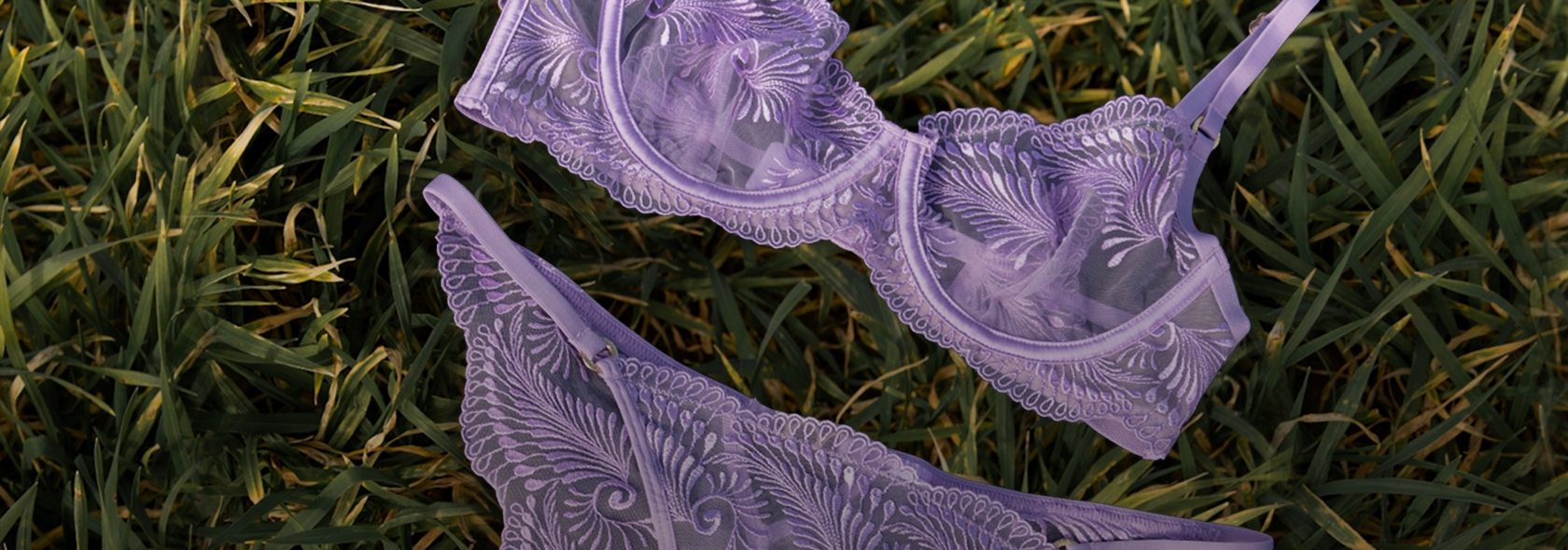 Bluebella header image