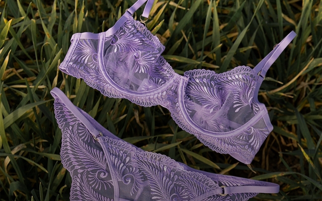 Bluebella header image
