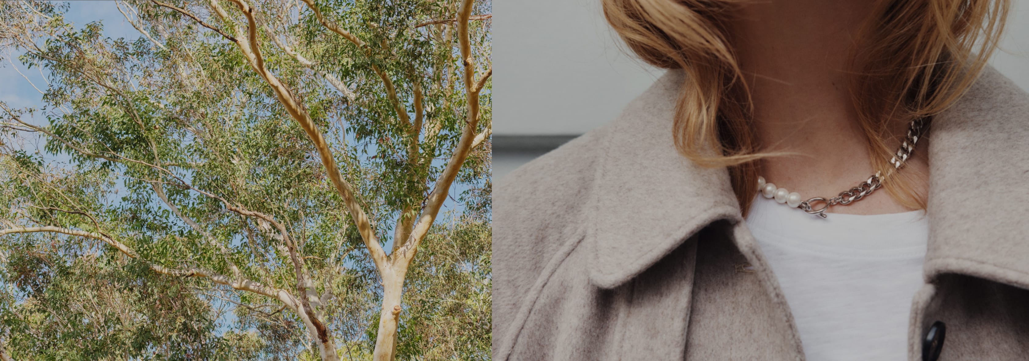 Hush header image